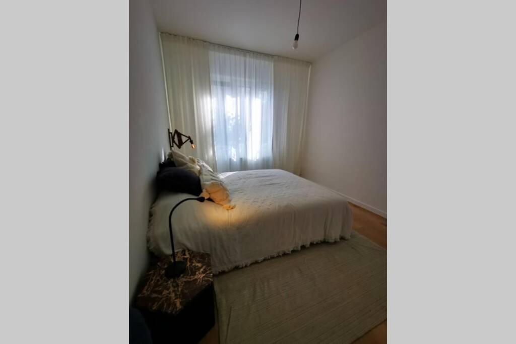 De Flat - Licht En Luxueus Appartement Bij Het Zuid Antwerp Luaran gambar
